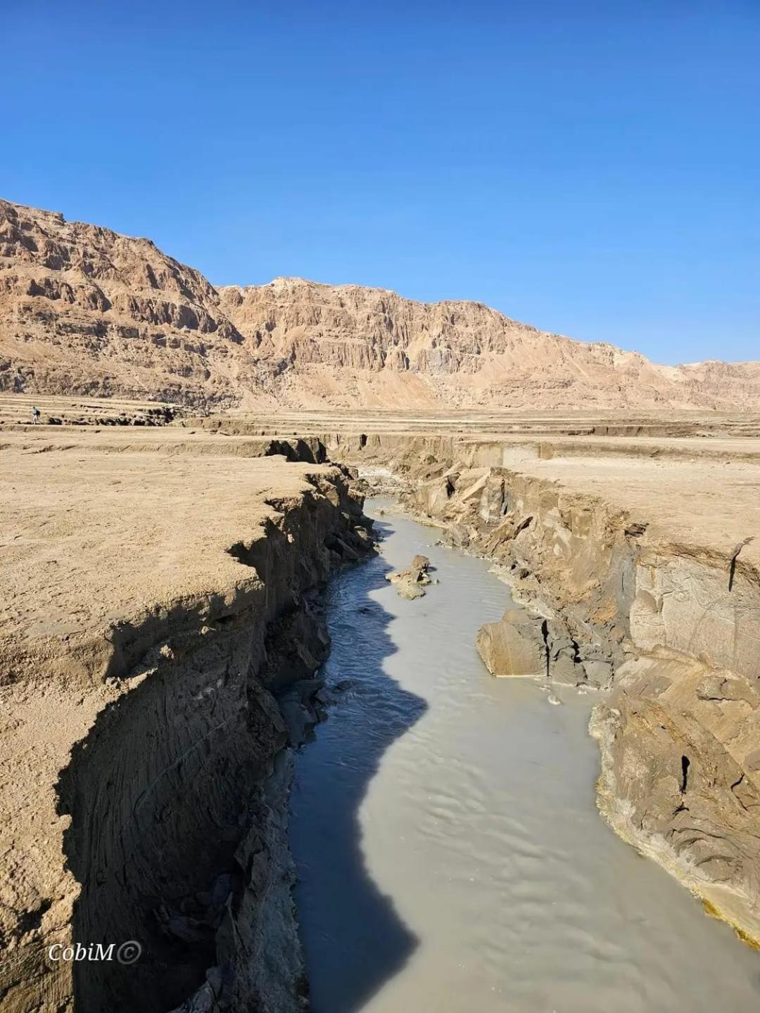 Beautiful On The Dead Sea! *