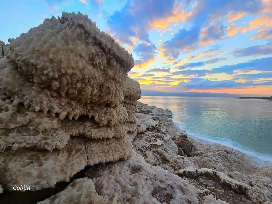 Beautiful On The Dead Sea! Appartement